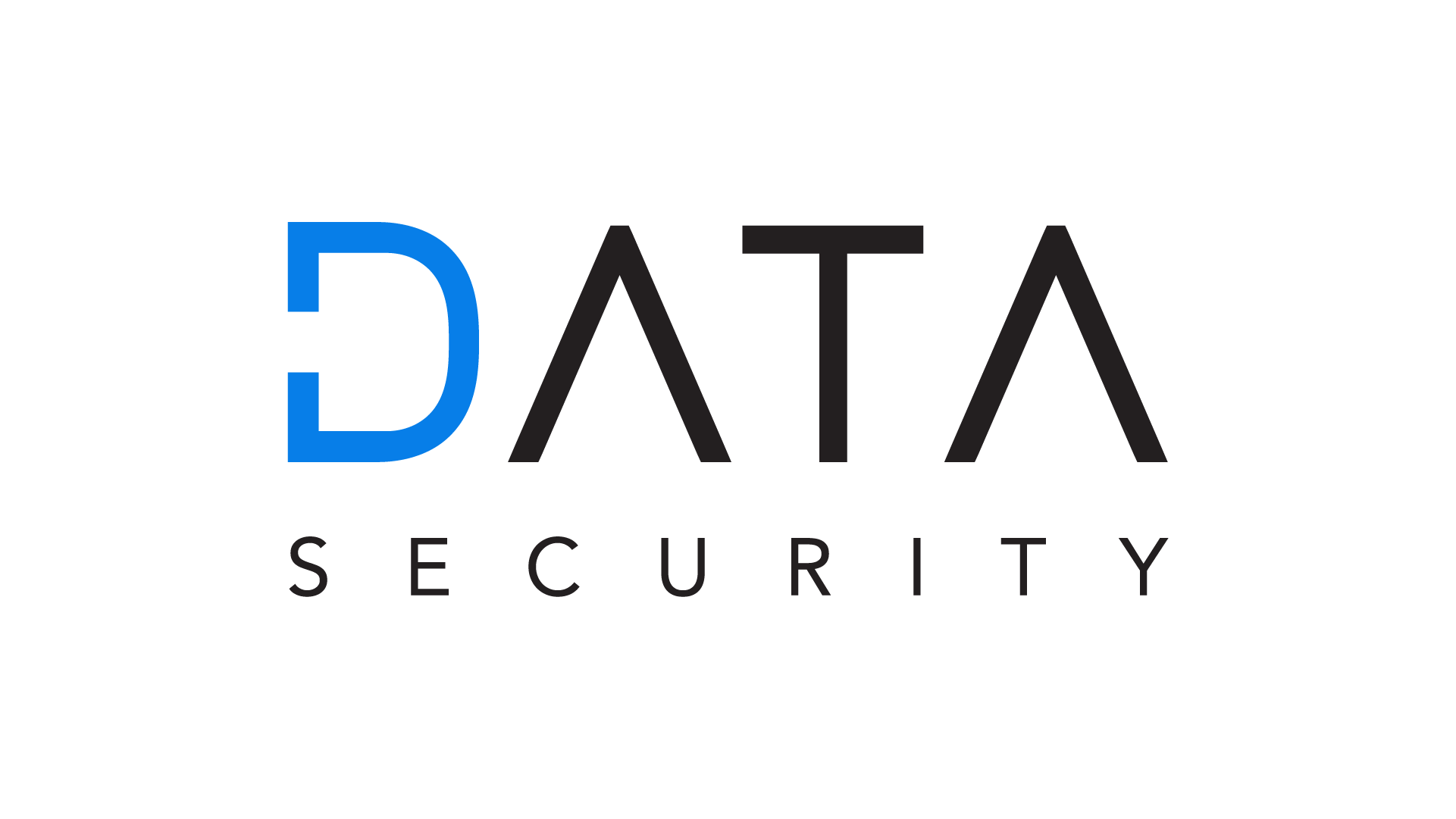 Logo logo_datasecurity.png